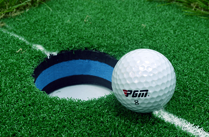 Hilllman PGM Golf Artificial Turf Two Hole Putting Green